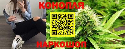крисы Свободный