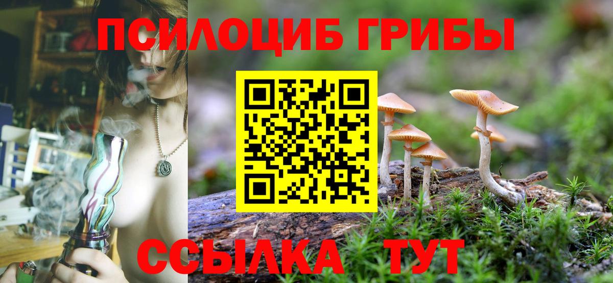 Псилоцибиновые грибы мицелий  Вход с VPN  Приморско-Ахтарск 